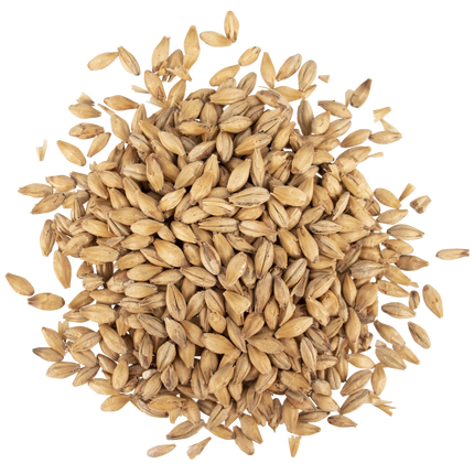 Malt - Viking Malt Lightly Peated - Per Lb (Showroom Only)