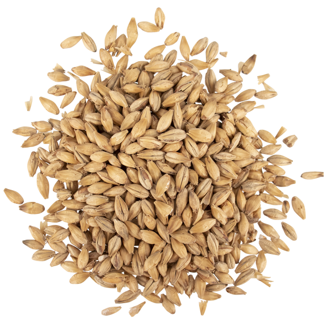 Malt - Viking Malt Lightly Peated - Per Lb (Showroom Only)