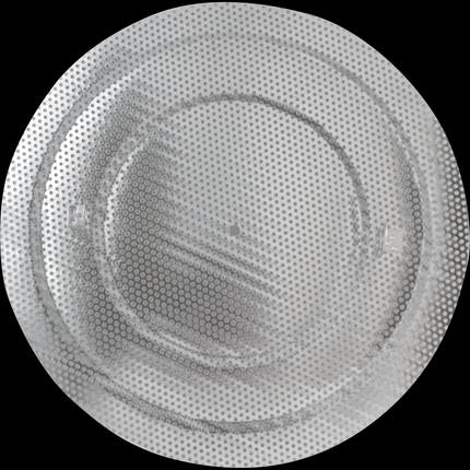 35L BrewZilla - Gen 4 - Replacement Top Screen for Malt pipe (no overflow hole)