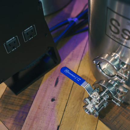 Ss BrewTech - eBrewing - 2V System - PLACEHOLDER