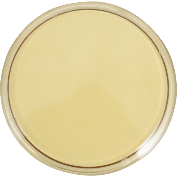 Plastic Sight Glass Lens | 3