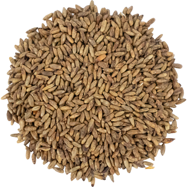 Malt - Briess Caramel Rye - Per Lb (Showroom Only)