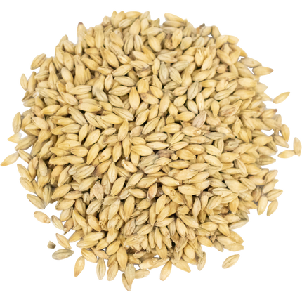 Malt - Viking Malt Pilsner Zero - Per Lb (Showroom Only)
