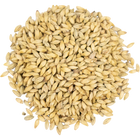 Malt - Viking Malt Pilsner Zero - Per Lb (Showroom Only)