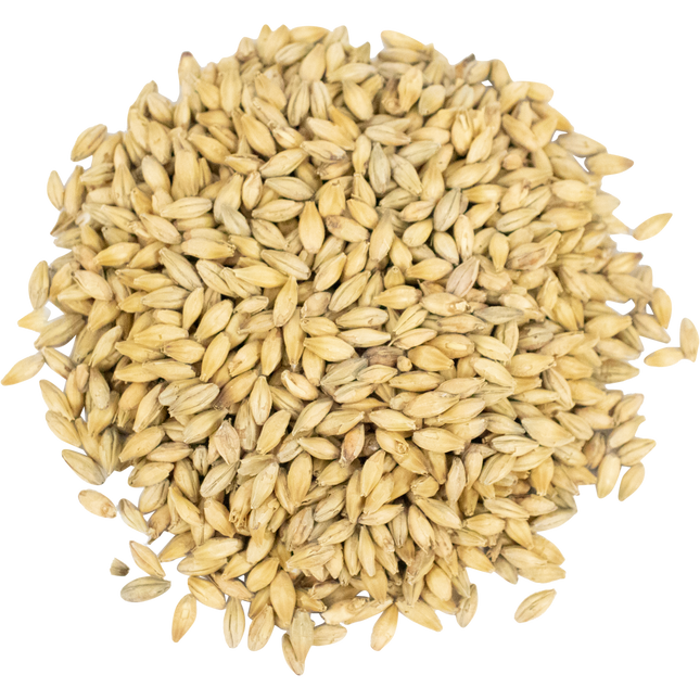 Malt - Viking Malt Pilsner Zero - Per Lb (Showroom Only)