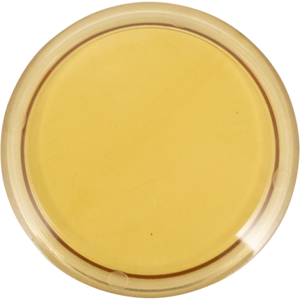 2 in. T.C. Sight Glass Disc (Lens) - Polyphenylsulfone (PPSU)