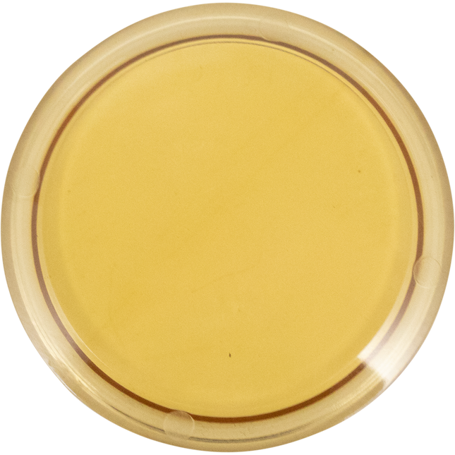 2 in. T.C. Sight Glass Disc (Lens) - Polyphenylsulfone (PPSU)