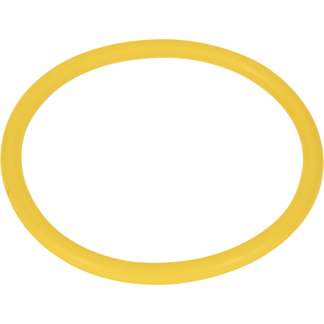 Low2 Keg Lid O-Ring - Cornelius Keg Lid O-Ring