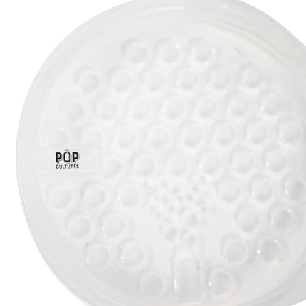 Pop Cultures - Fermentation Equipment Kit