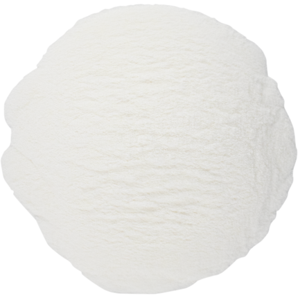 Amylase Enzyme - PLACEHOLDER