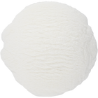 Amylase Enzyme - PLACEHOLDER