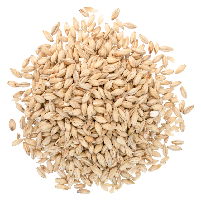 Malt - Briess Brewers 2-Row - Per Lb (Showroom Only)