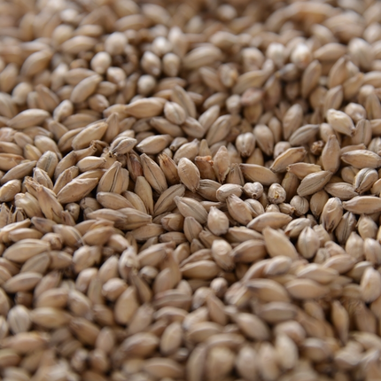Malt - Crisp - Chevallier Heritage - Per Lb (Showroom Only)