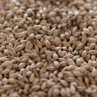 Malt - Crisp - Chevallier Heritage - Per Lb (Showroom Only)