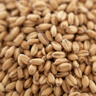 Malt - Rahr - Extra Pale White Wheat Malt - Per Lb (Showroom Only)