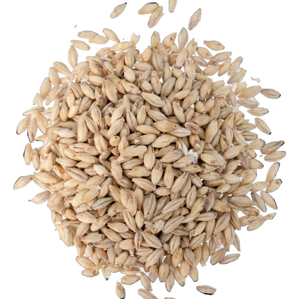 Malt - Weyermann German Extra Pale Premium Pilsner Malt - Per Lb (Showroom Only)