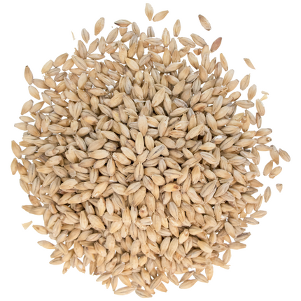 Malt - Floor Malted Bohemian Pilsner - Per Lb (Showroom Only)
