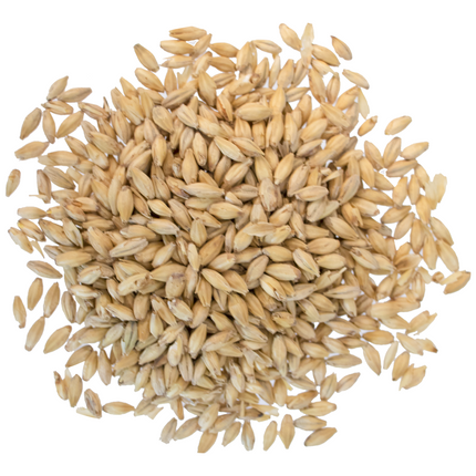 Malt - Rahr 2-Row - Per Lb (Showroom Only)