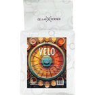 CellarScience - Dry Yeast - VELO  - PLACEHOLDER