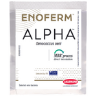 Dry Malolactic Wine Bacteria - Enoferm Alpha - PLACEHOLDER