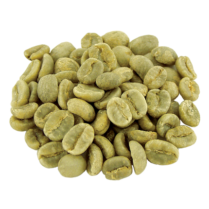 Regional Series - Ethiopia Dehab's Diamond, Natural Processed - PLACEHOLDER