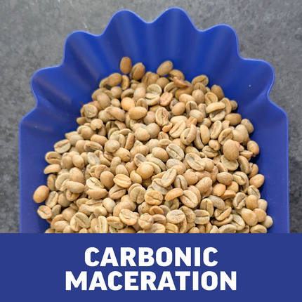 Single-Origin Reserve Series - Rwanda Kungahara, Carbonic Maceration - PLACEHOLDER