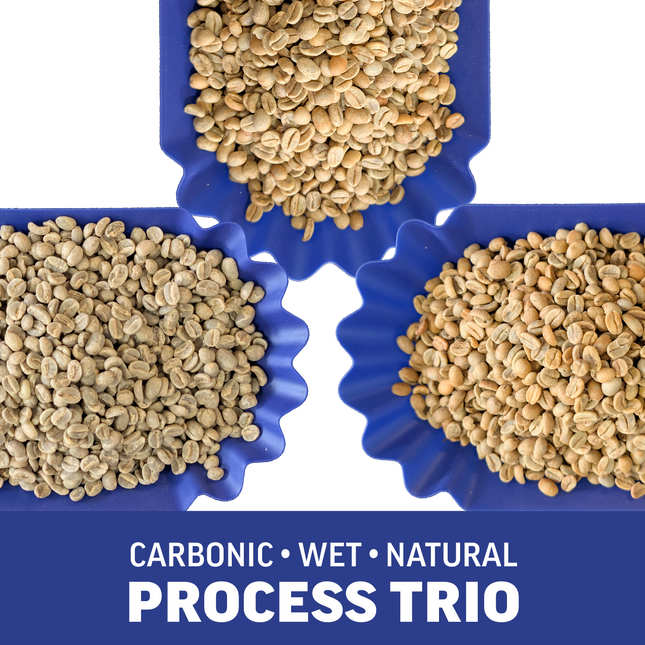 Single-Origin Reserve Series - Rwanda Kungahara - 3 Pack of 1 lbs - Wet, Natural, Carbonic Maceration Process