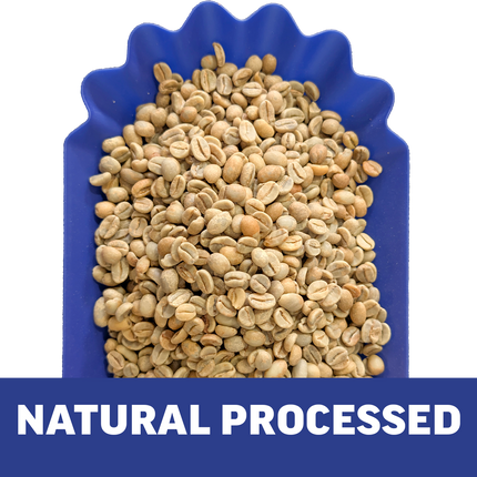 Single-Origin Reserve Series - Rwanda Kungahara - 3 Pack of 1 lbs - Wet, Natural, Carbonic Maceration Process