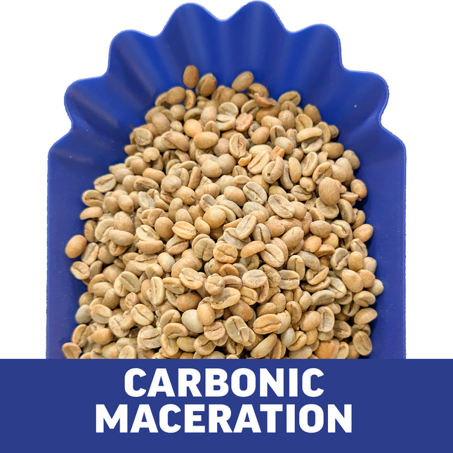 Single-Origin Reserve Series - Rwanda Kungahara - 3 Pack of 1 lbs - Wet, Natural, Carbonic Maceration Process