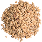 Malt - German Munich - Per Lb (Showroom Only)