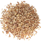 Malt - Caramel 10L - Per lb (Showroom Only)