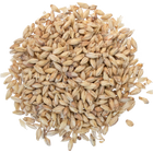 Malt - Goldpils Vienna - Per Lb (Showroom Only)
