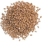 Malt - Briess Red Wheat - Per Lb (Showroom Only)