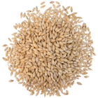 Malt - Crisp - No. 19 Floor Malted Maris Otter - Per Lb (Showroom Only)