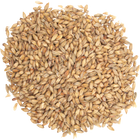 Malt - Ashburne Mild - Per Lb (Showroom Only)