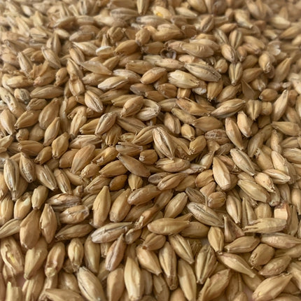 Malt - Rahr North Star Pils - Per Lb (Showroom Only)