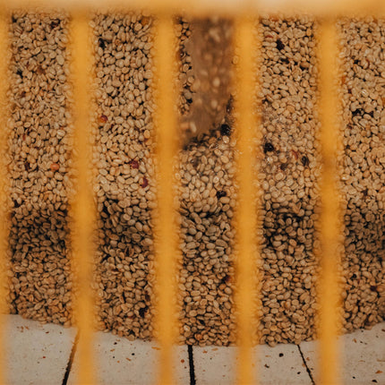 Green Coffee - Regional Series - Mexico Altura HG EP, Wet Processed - PLACEHOLDER