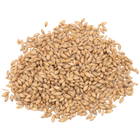 Malt - Rahr To Thee Pils - Per Lb (Showroom Only)