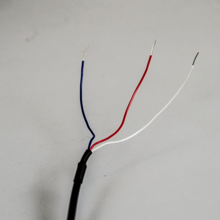 RTD PT100 Temp Sensor