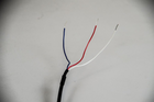 RTD PT100 Temp Sensor
