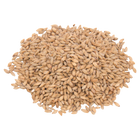 Malt - Weyermann Eraclea Pilsner - Per Lb (Showroom Only)