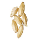 Malt - Rahr 6-Row - Per Lb (Showroom Only)